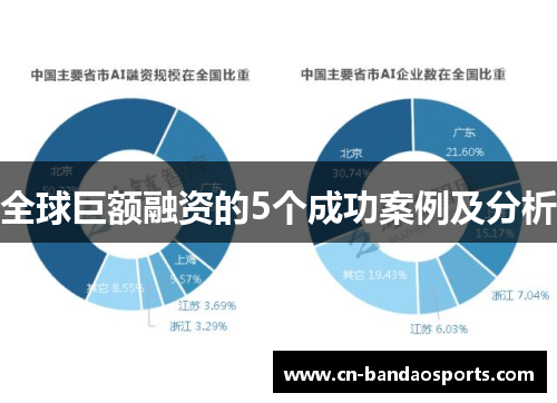 全球巨额融资的5个成功案例及分析