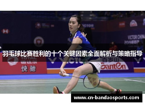 羽毛球比赛胜利的十个关键因素全面解析与策略指导
