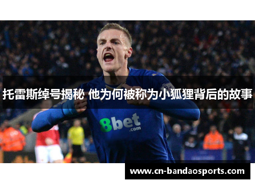 托雷斯绰号揭秘 他为何被称为小狐狸背后的故事 托雷斯绰号揭秘 他为何被称为小狐狸背后的故事